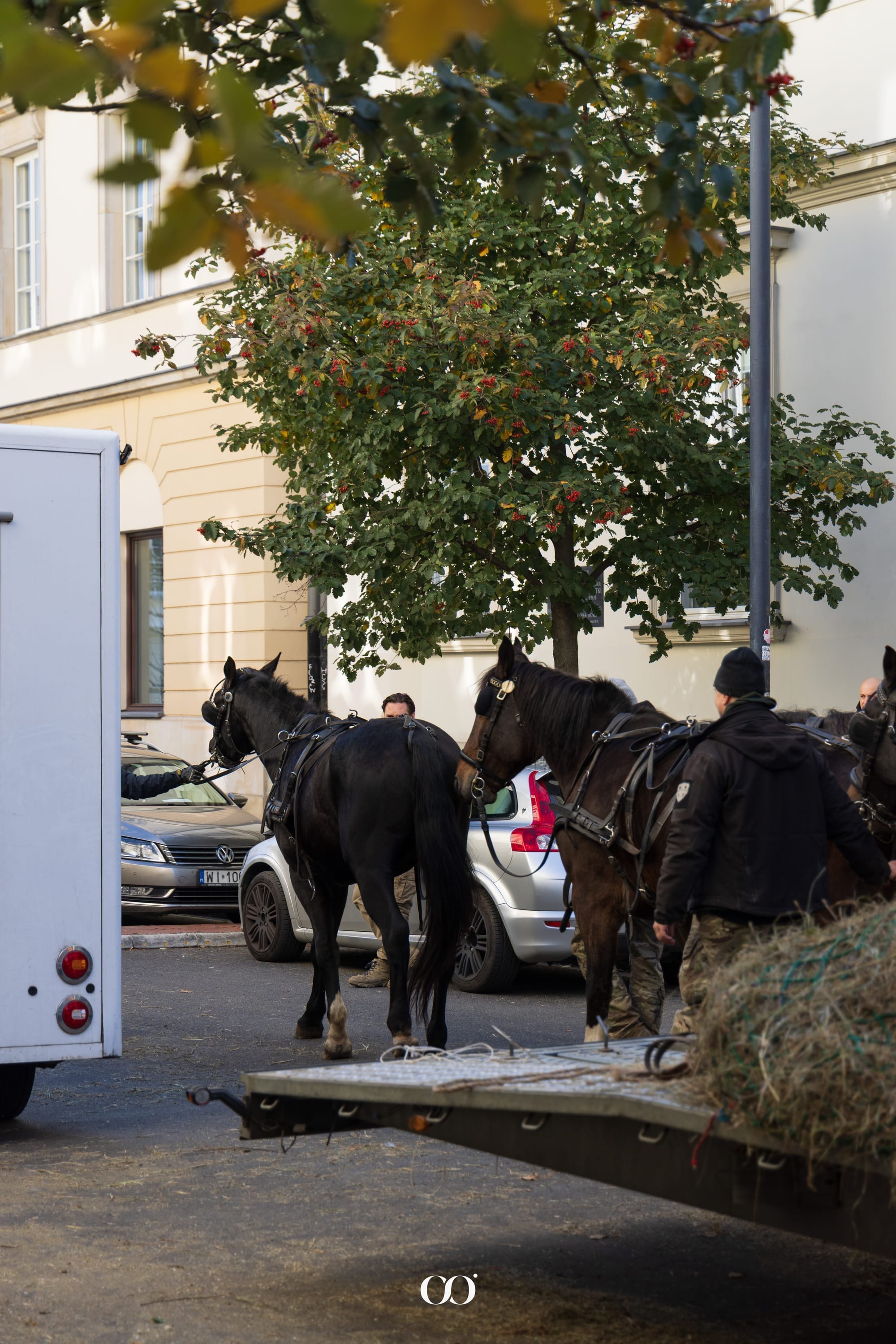 Lalka, Bolesława Prus, kino, Warszawa, Krakowskie Przedmieście, Warsawslook, co oglądać w kinie, powieść Prusa, kręcenia filmu, Wokulski, gdzie pójść w Warszawie