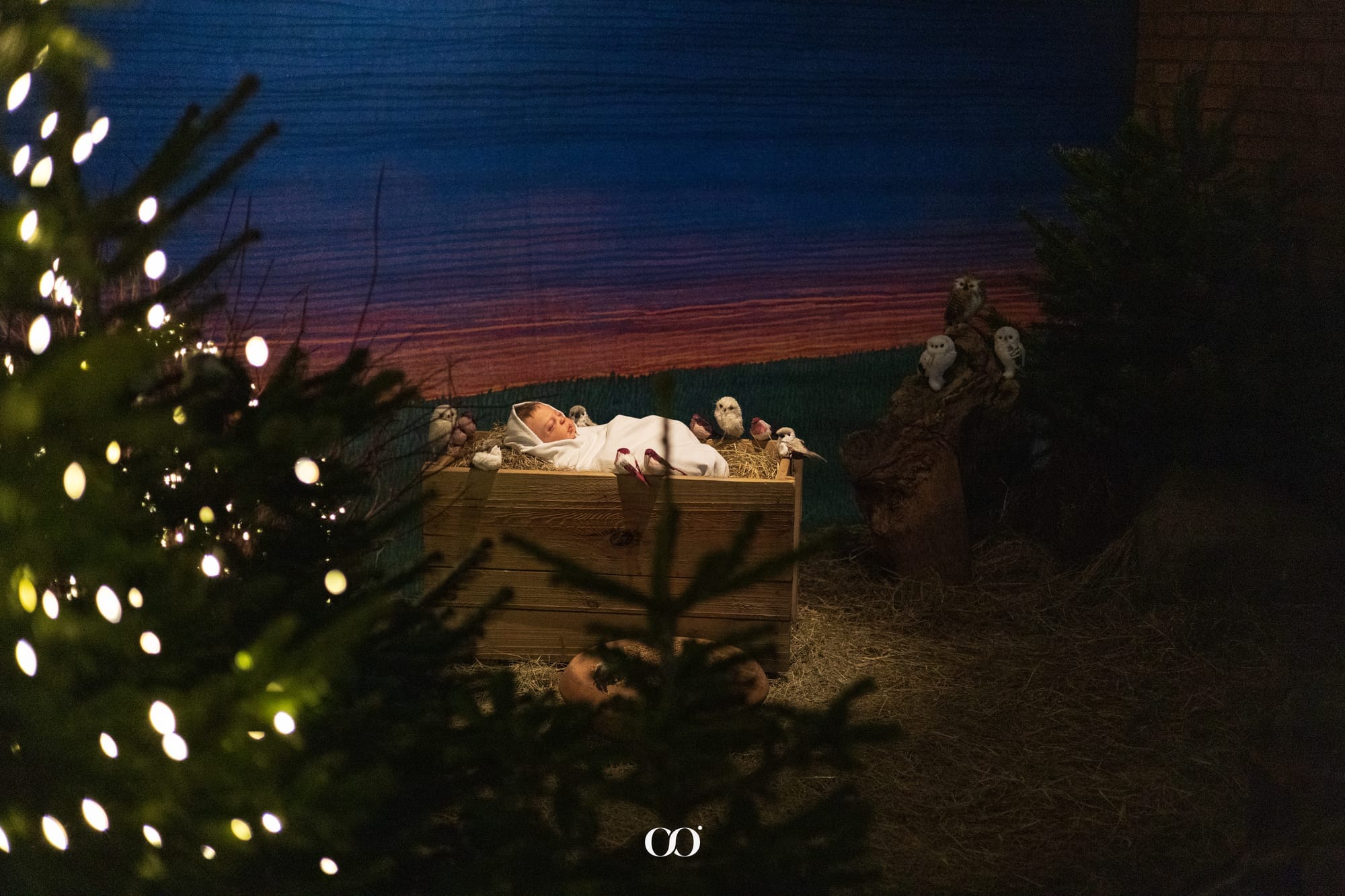 Najpiękniejsze szopki bożonarodzeniowe w Warszawie, święta w warszawie 2025, Warsawslook, polskie kościoły, christmas in warsaw, boże narodzenie, nativity scene in Poland, polskie tradycje, polish traditions, parafia św. Dominika, Służew