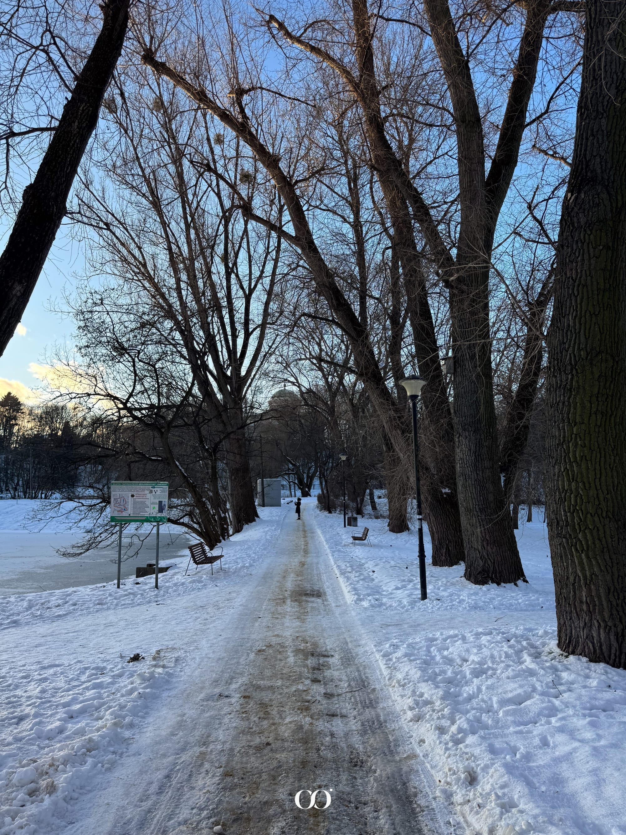 zima w ruchu, pomysły na spędzanie czasu w Warszawie, lodowisko warszawa, zima w warszawie, co robić w warszawie, morsowanie warszawa, sauna warszawa, warsaw guide, Warsawslook, bieganie, spacer w Warszawie, przewodnik warszawski, things to do in Warsaw, Poland travel, winter in warsaw, parki warszawy, królikarnia, park arkadia, Mokotów, park rzeźby w warszawie, zimowy spacer